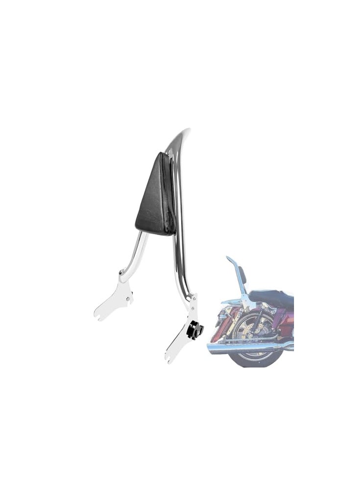 Fjpacemt Detachable Chrome Sissy Bar for Harley Davidson