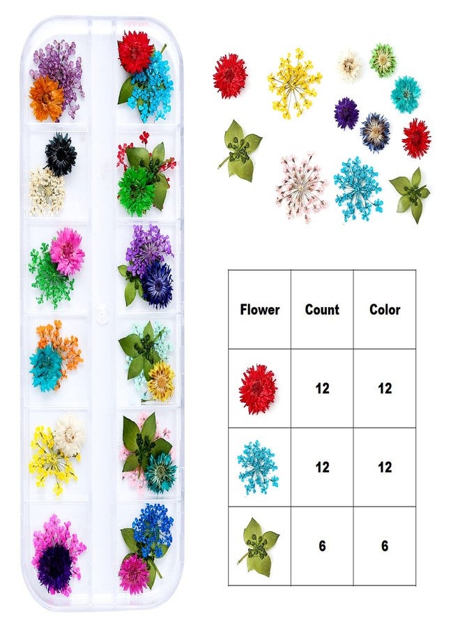 iFancer Dried Flowers for Resin Craft Nail Art Mix Small Mini Dry Flowers (Pack of 6 Boxes, About 260 PCS) - Image 4