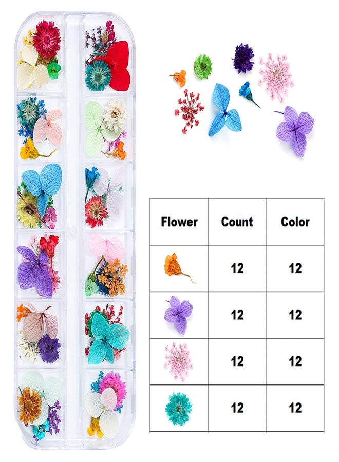 iFancer Dried Flowers for Resin Craft Nail Art Mix Small Mini Dry Flowers (Pack of 6 Boxes, About 260 PCS) - Image 2