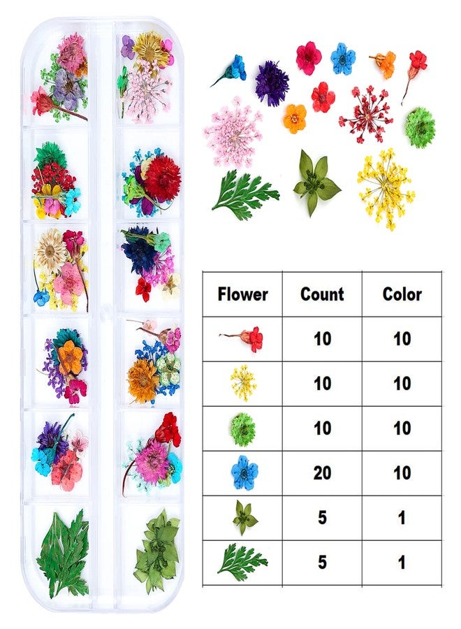 iFancer Dried Flowers for Resin Craft Nail Art Mix Small Mini Dry Flowers (Pack of 6 Boxes, About 260 PCS) - Image 3