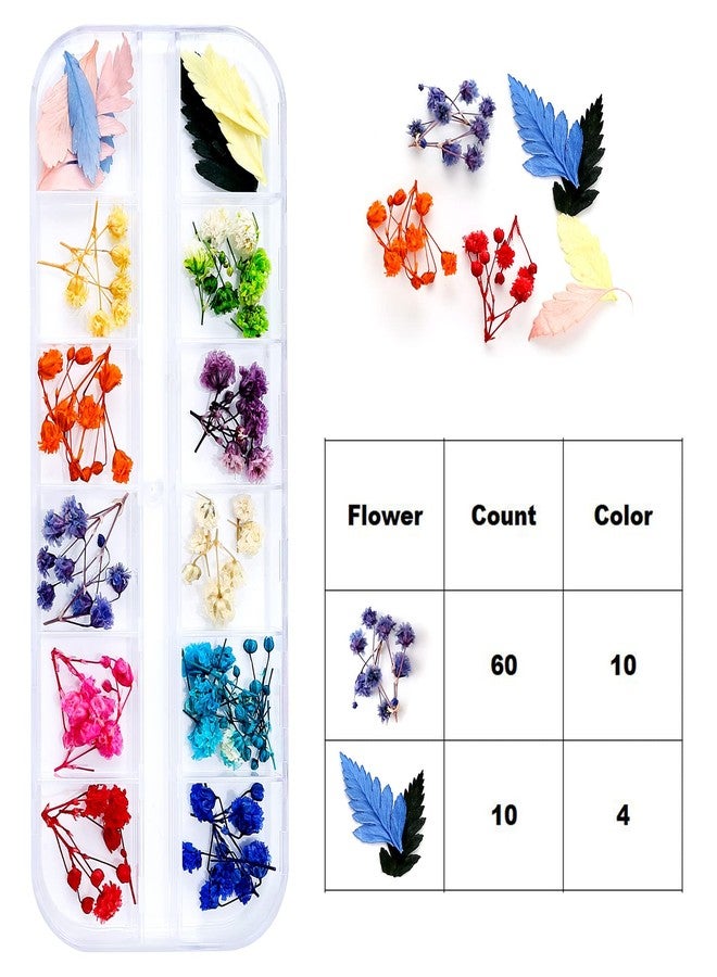 iFancer Dried Flowers for Resin Craft Nail Art Mix Small Mini Dry Flowers (Pack of 6 Boxes, About 260 PCS) - Image 5