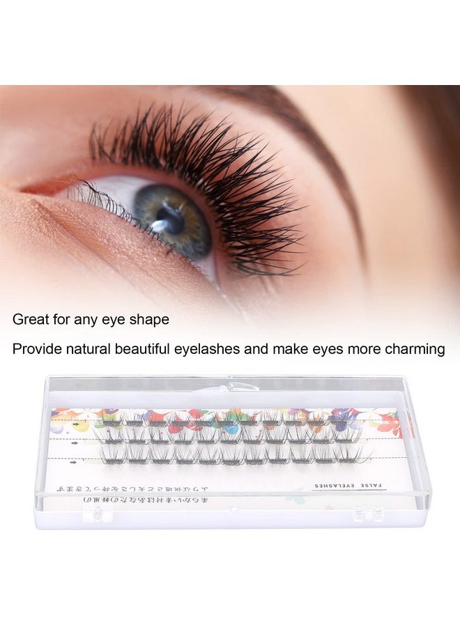 14Mm Individual False Lashescurly 3D Individual Lashes Extensions For Eyelashes Extension(Thick) - pzsku/ZA19B6A21BE4B3E4020BBZ/45/_/1720077697/b227dad9-2eeb-4dff-98f2-98434e0c5276