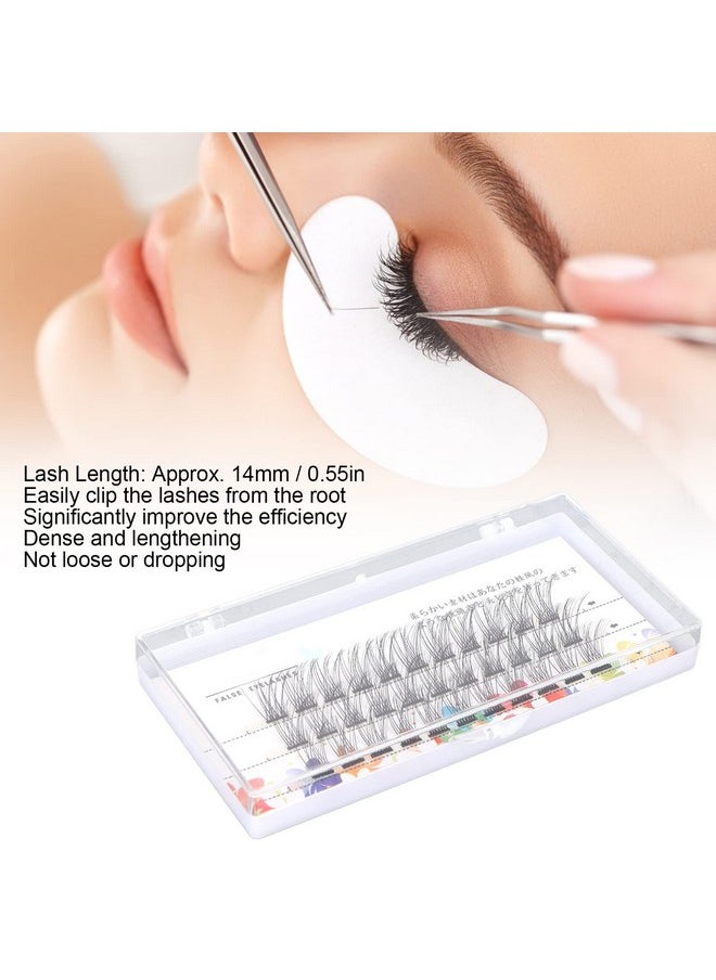 14Mm Individual False Lashescurly 3D Individual Lashes Extensions For Eyelashes Extension(Thick) - pzsku/ZA19B6A21BE4B3E4020BBZ/45/_/1720077740/477b2967-e468-48b6-b6d1-138b8a2231d6