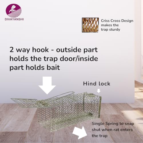 Divayanshi Heavy-Duty Rat Trap – Reusable Humane Rodent Catcher for Mice & Rats, Strong Spring Mechanism, Easy to Set & Clean, Indoor & Outdoor Use (9 inch) - Image 4