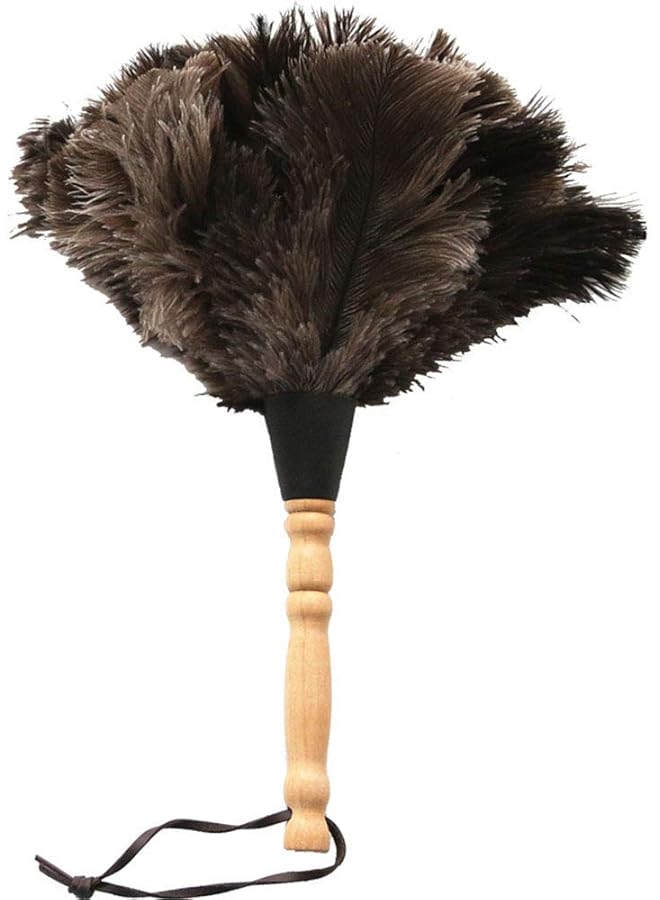 promass Ostrich Feather Household Dust Brush (Small)