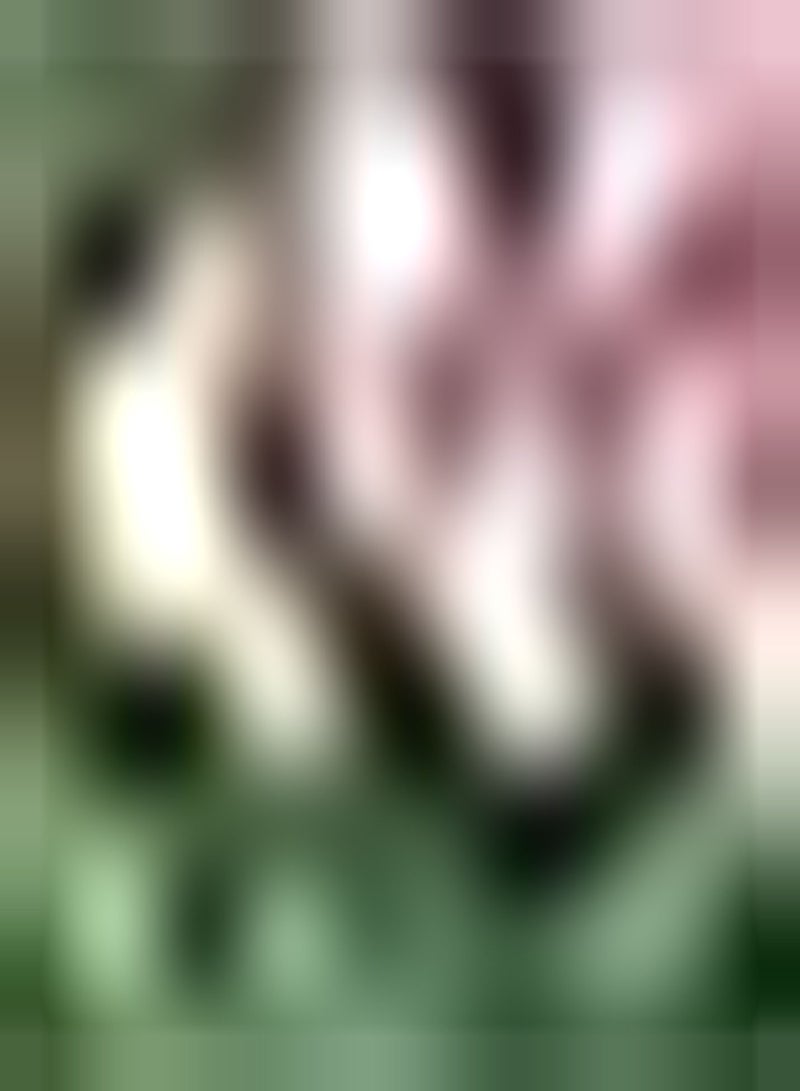 GGOOT 10 rosa Tulpenzwiebeln Blumen schaffen einzigartig schöne Umgebung einzigartige Blumenform Macht faszinierende Landschaft Anfänger - Image 2