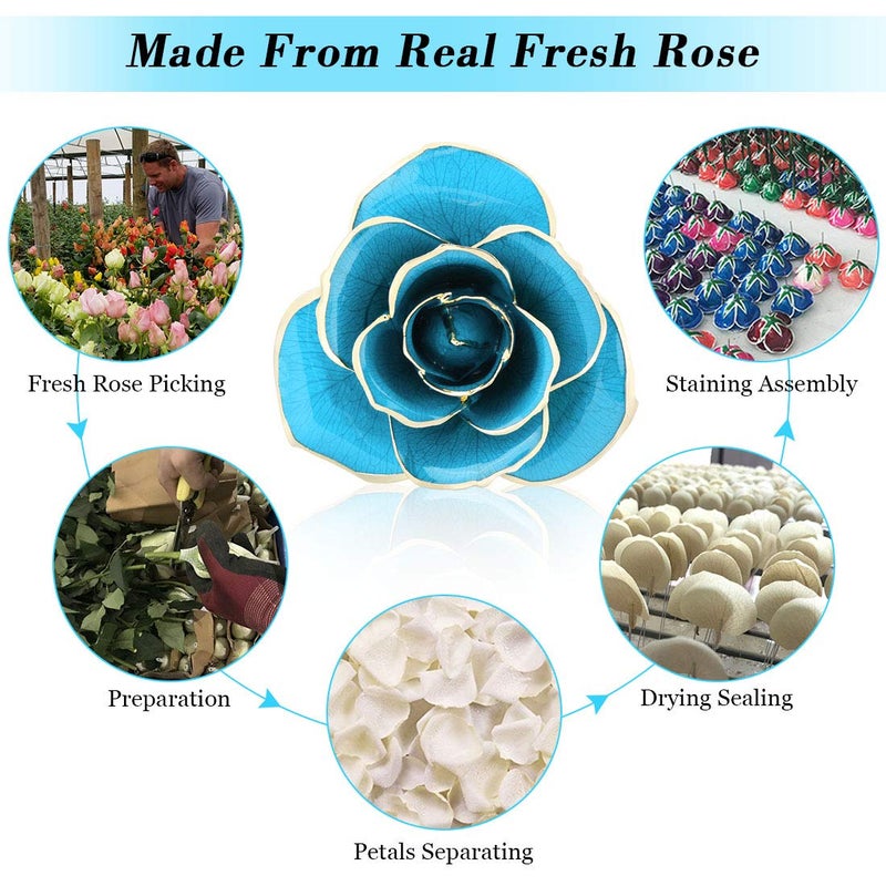Ejoyous Ejoyous for Mom  Rose Dipped in 24K Gold Romantic Proposal Present for Girlfriend Wife Her on Birthday Christmas Day Valentines Day Anniversary  Light Blue Rose with Rose Stand  - Image 3