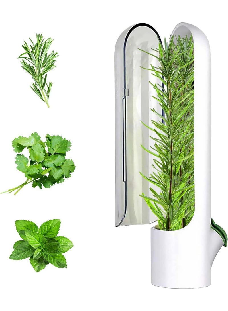 Savings and Organization Offer - 17-Piece Storage Container Set + Fresh Herb Container - Image 2