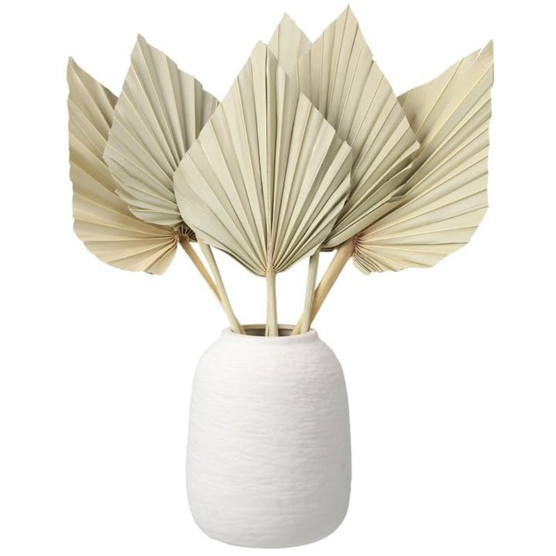 6 Pcs Small Boho Dried Palm Fans, Natural Dried Palm Spears Leaves with Stem Bohemian Dried Flower Bouquet Tropical Palm for Boho Wedding Vase Table Decor - Image 1