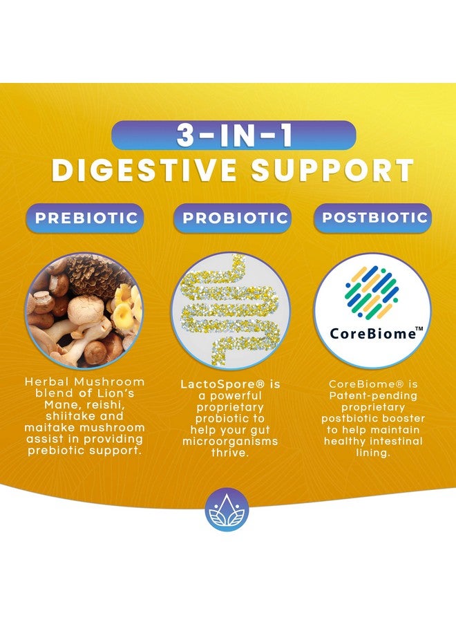 DR EMIL NUTRITION Total Gut Health Complex Prebiotic + Probiotic + Postbiotic Gut Health Supplements For Women And Men Probiotics For Digestive Health & Gut Health 60 Capsules - Image 3