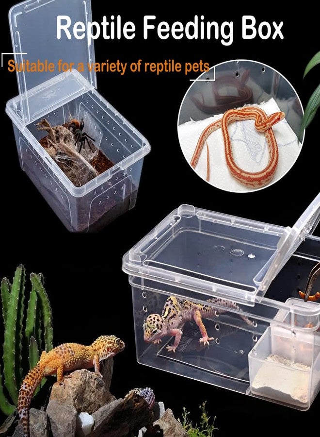 VTurboWay 2 Pack Reptile Box Escape-Proof Breeding House Portable Reptile Terrarium Habitat for Reptile Crickets Snails Hermit Crabs Baby Tortoise Snakes Tarantulas Geckos Frogs Lizards (S and L) - Image 2