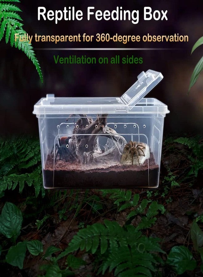 VTurboWay 2 Pack Reptile Box Escape-Proof Breeding House Portable Reptile Terrarium Habitat for Reptile Crickets Snails Hermit Crabs Baby Tortoise Snakes Tarantulas Geckos Frogs Lizards (S and L) - Image 3