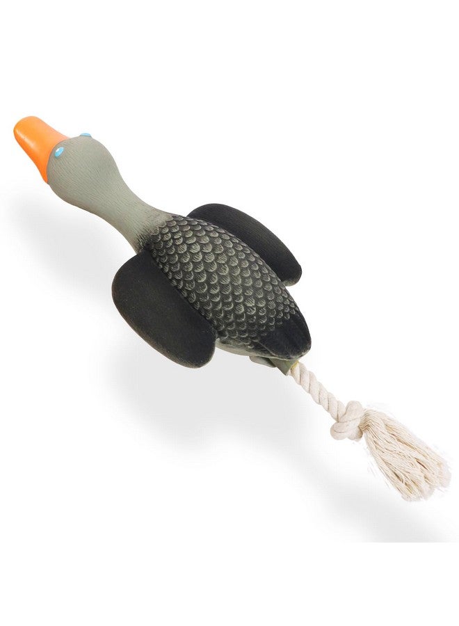 SCHITEC Squeaky Rope Dog Toys, Latex Rubber Squeak Duck Tug of War Toy, Interactive Play Puppy Stuffed Chew Toy for Small Medium Dogs - Image 1
