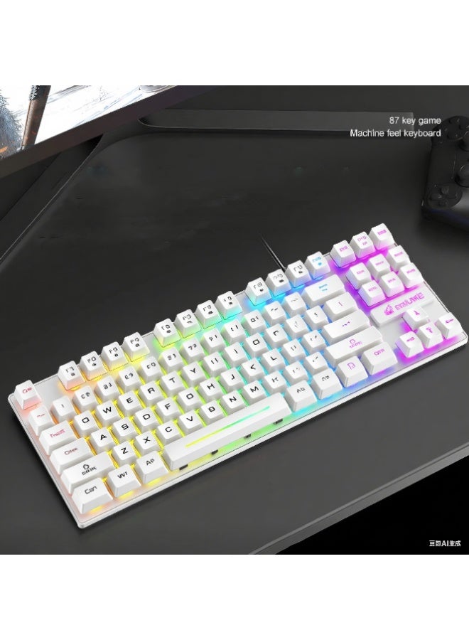 Portable Advanced Keyboard for Notebook Computer, 87 Keys K16 Keyboard Wired Waterproof Backlit RGB Color Mechanical Keyboard Computer Accessory for Notebook