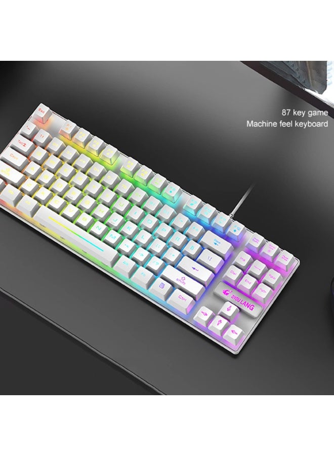 Portable Advanced Keyboard for Notebook Computer, 87 Keys K16 Keyboard Wired Waterproof Backlit RGB Color Mechanical Keyboard Computer Accessory for Notebook