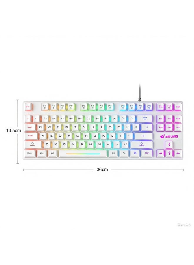 Portable Advanced Keyboard for Notebook Computer, 87 Keys K16 Keyboard Wired Waterproof Backlit RGB Color Mechanical Keyboard Computer Accessory for Notebook