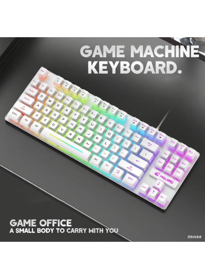 Portable Advanced Keyboard for Notebook Computer, 87 Keys K16 Keyboard Wired Waterproof Backlit RGB Color Mechanical Keyboard Computer Accessory for Notebook