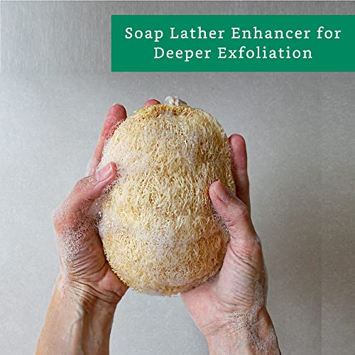 LooLife Natural Loofah Exfoliating Sponge (3 Pack) - Organic Body Scrubber - Biodegradable Shower Luffa - Image 4