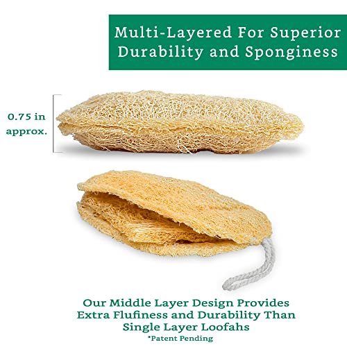 LooLife Natural Loofah Exfoliating Sponge (3 Pack) - Organic Body Scrubber - Biodegradable Shower Luffa - Image 3