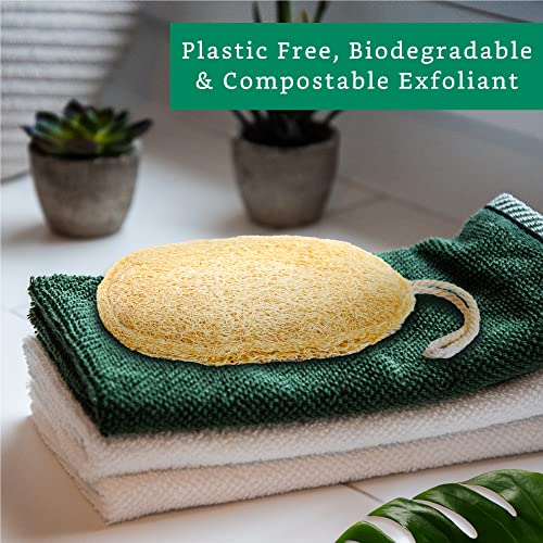 LooLife Natural Loofah Exfoliating Sponge (3 Pack) - Organic Body Scrubber - Biodegradable Shower Luffa - Image 5