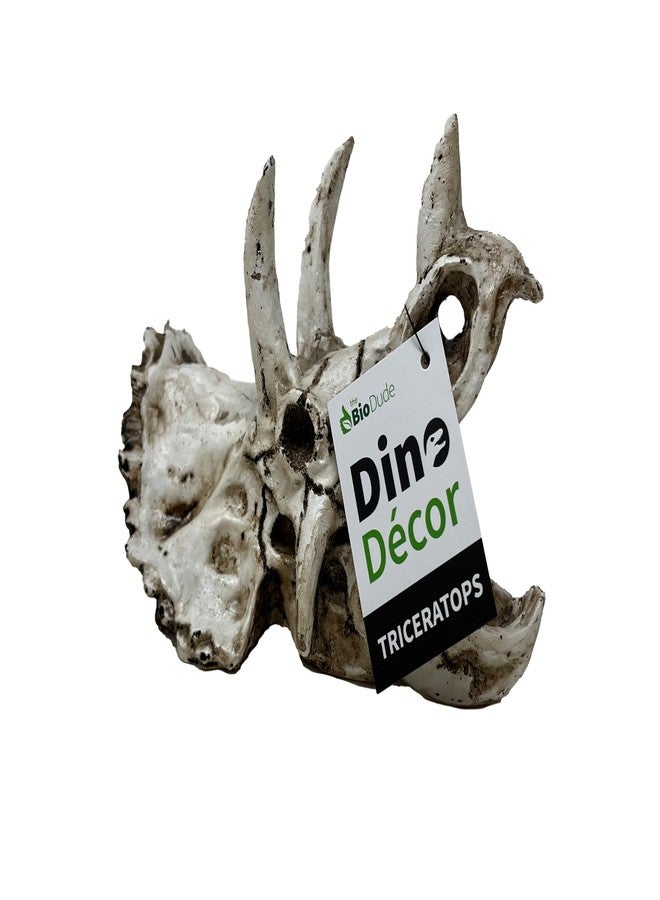 BIODUDE The Bio Dude - Dino Decor Triceratops Accent Skull. Great for bioactive vivariums and terrariums - Image 3