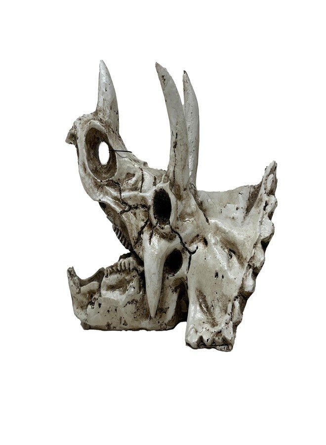 BIODUDE The Bio Dude - Dino Decor Triceratops Accent Skull. Great for bioactive vivariums and terrariums - Image 1