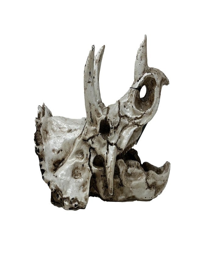BIODUDE The Bio Dude - Dino Decor Triceratops Accent Skull. Great for bioactive vivariums and terrariums - Image 2