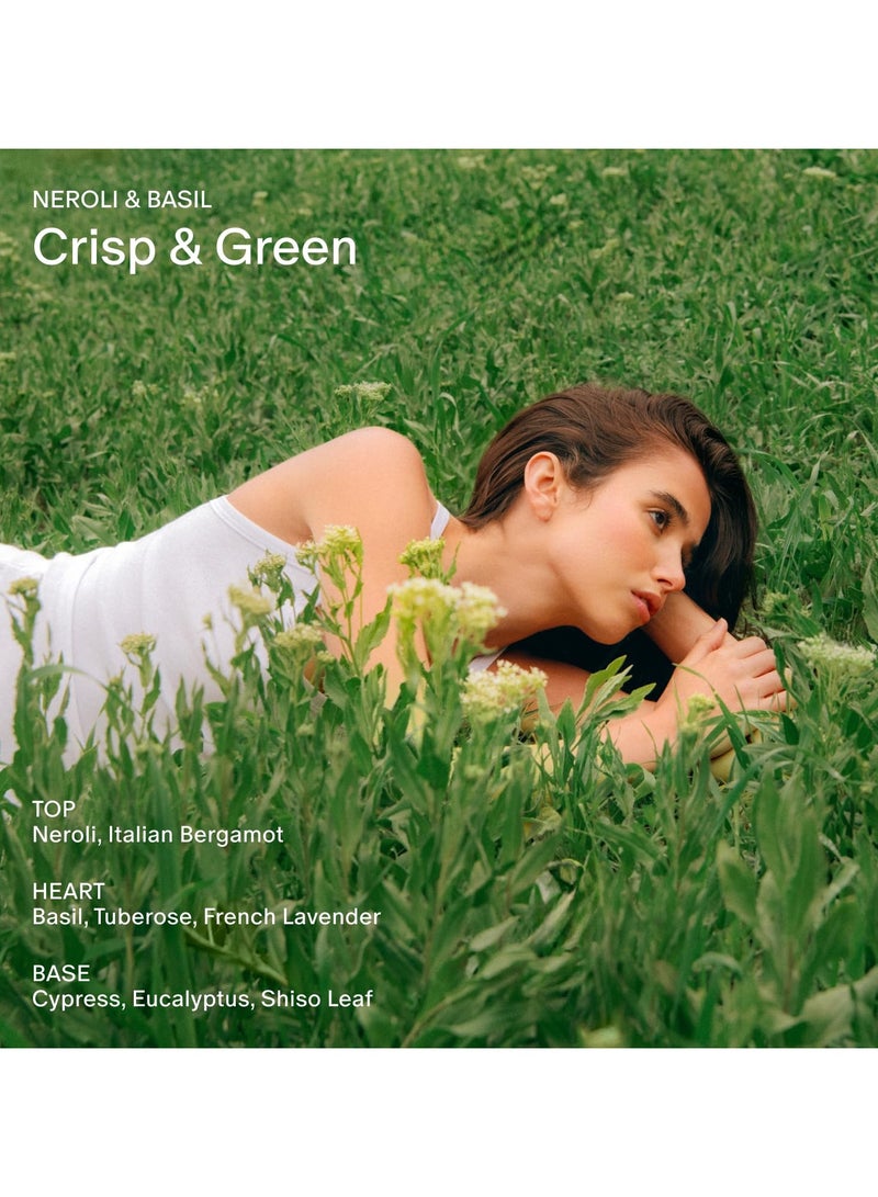 Salt & Stone Aluminum Free Deodorant | Extra Strength 48 Hour Protection for Women & Men | Made with Seaweed Extracts, Niacinamide & Prebiotics (Neroli & Basil) - Image 3