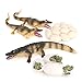 Hvogvok Crocodile Growth Cycle Animal Growth Cycle Biological Model Toy Growth Stage Lifelike Crocodile Life Cycle Model Set for Kids Education Insect Themed Party Favors - Image 3