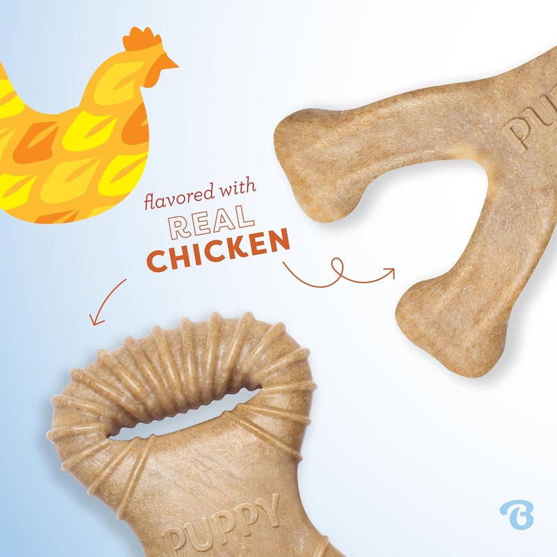 Benebone Puppy 2-Pack Dental Chew/Wishbone Chicken Small - Image 2