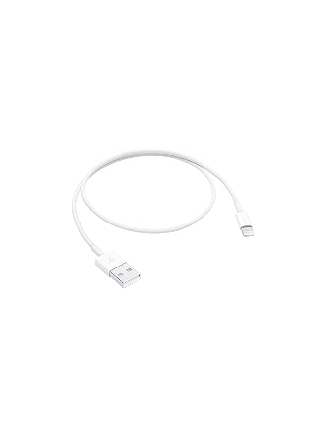 PROMASS ME291ZM/A Lightning Cable, 0.5 Meter - Image 2