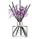 cocodor ديفيوزر ريد من كوكودور مع زهور حقيقية محفوظة / لافندر الحديقة / 6.7 أونصة (200 مل) / عبوة واحدة / مجموعة ديفيوزر ريد, زيت - Image 1