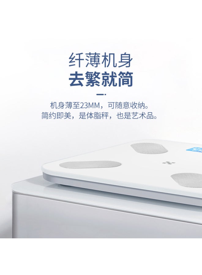 Tiansheng Rechargeable Smart Body Fat Scale with Mint Health App Connectivity, Accurate Weight and Body Fat Measurement, Curve White - Image 4