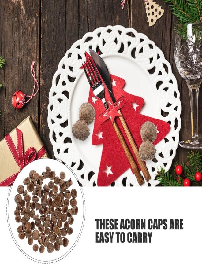 جارنيك مجموعة جارنيك من 200 قطعة من أغطية ثمار البلوط الريفية لأعمال الخريف اليدوية، أغطية طبيعية لثمار البلوط لتزيين المنزل بنفسك، مناسبة لتزيين طاولات عيد الشكر وعيد الميلاد. - Image 4