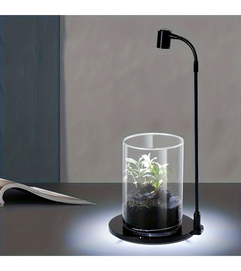 Cylindrical Double Hole Glass Bottle With Cap Breathable Micro Landscape Decor - Image 2