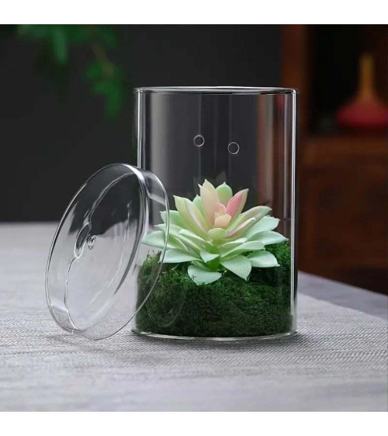 Cylindrical Double Hole Glass Bottle With Cap Breathable Micro Landscape Decor - Image 4