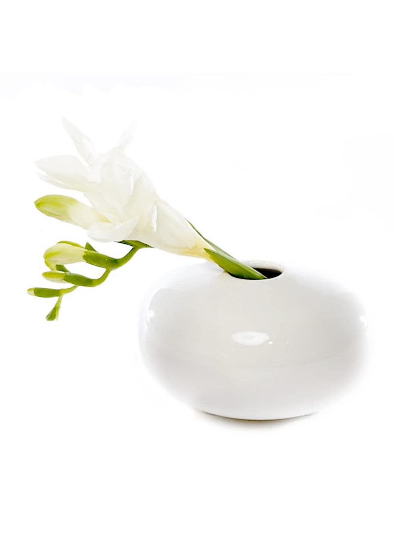 Chive Chive - Set of 6 JoJo Small Oval Ceramic Flower Vase  Decorative Modern Floral Vase for Home Decor Living Room Centerpieces and Events  Cute Bud Vase (White)  - Image 3
