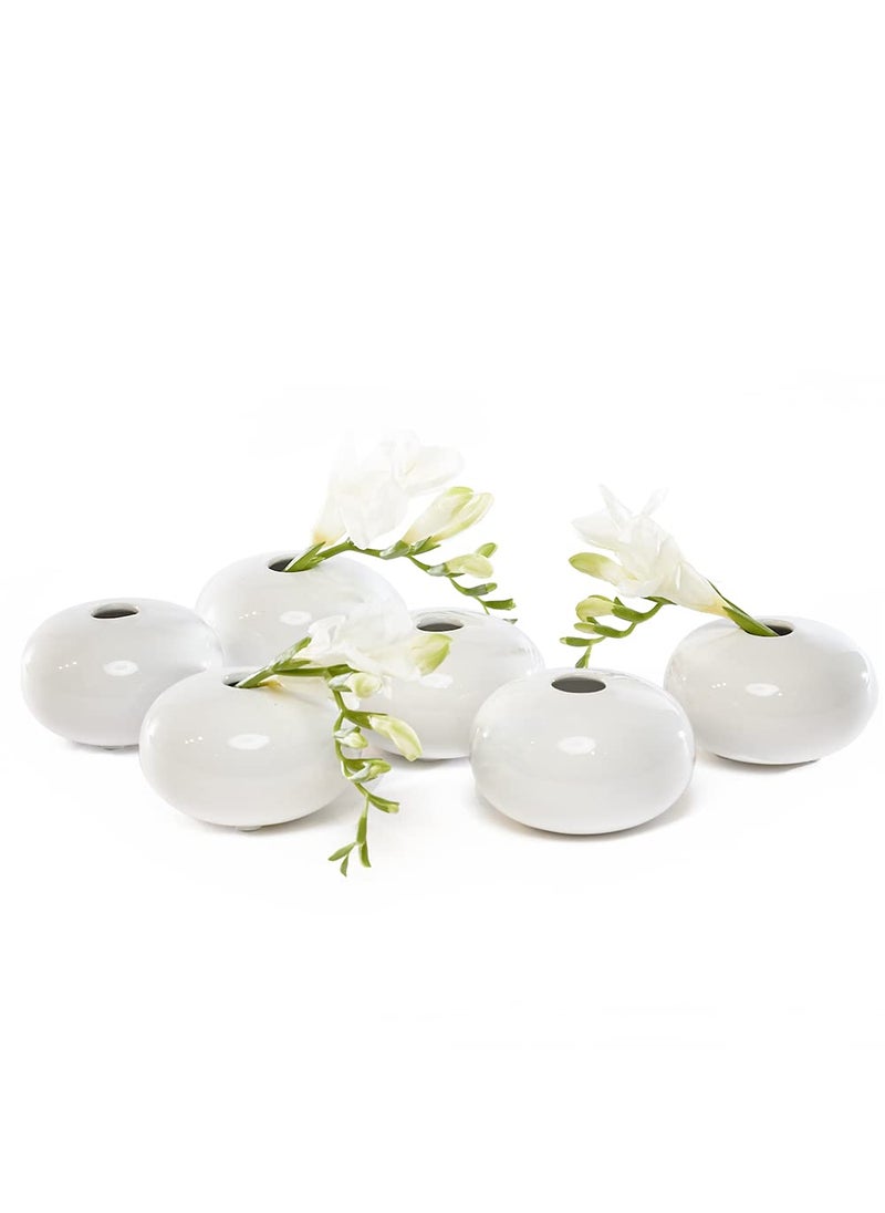 Chive Chive - Set of 6 JoJo Small Oval Ceramic Flower Vase  Decorative Modern Floral Vase for Home Decor Living Room Centerpieces and Events  Cute Bud Vase (White)  - Image 1