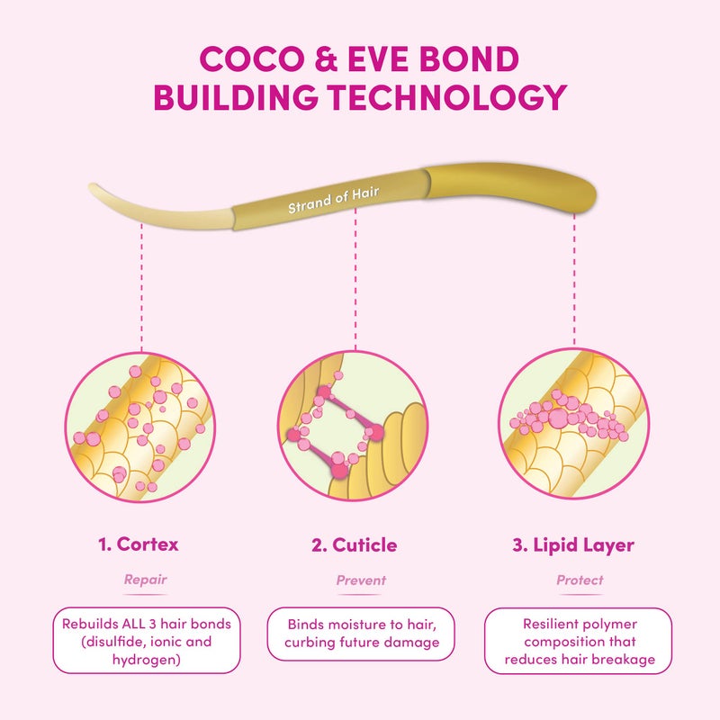 Coco & Eve Conditioner - Pre-Shampoo Treatment, 4.23 fl oz (125 milliliters), Helps with Dry Damaged Hair Breakage Repair, Deep Conditioning Mask for Repairing Hair Damage & Hair Bonds - Image 5