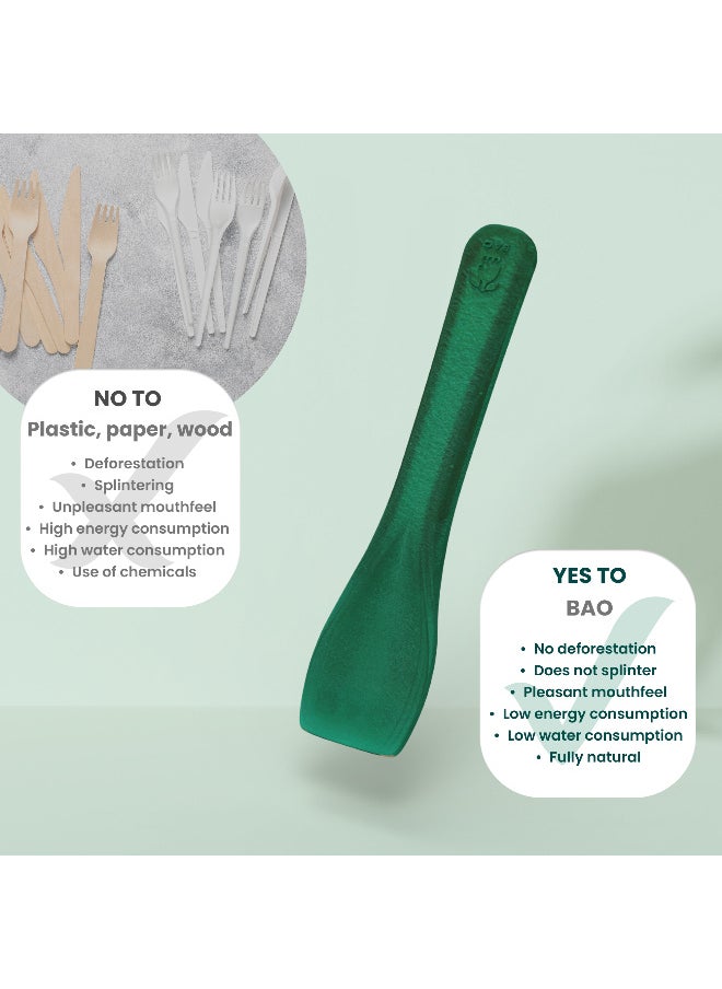 BAO Ice Cream Spoon in BOX - 760 pcs