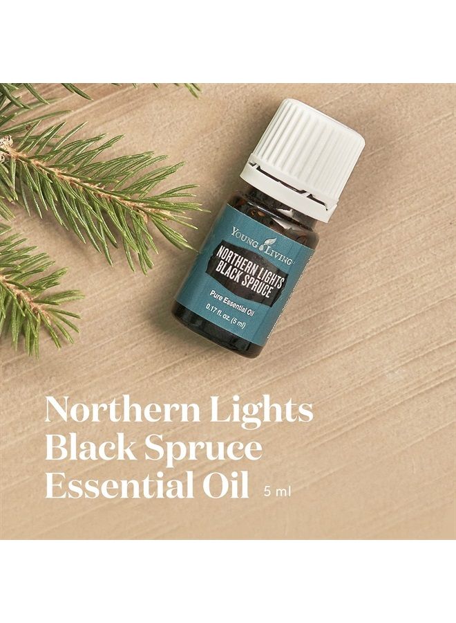 Young Living Northern Black Spruce Essential Oil 5ml by Young Living Essential Oils - Image 2