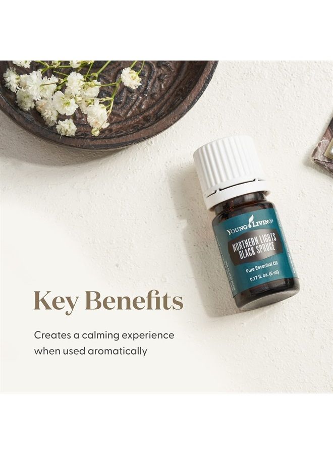 Young Living Northern Black Spruce Essential Oil 5ml by Young Living Essential Oils - Image 3
