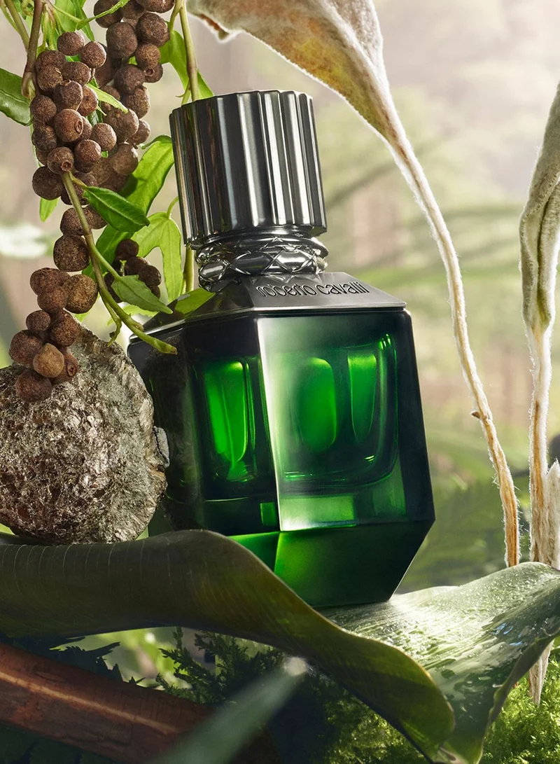 roberto cavalli Roberto Cavalli Paradise Found for Him Eau de Toilette 75ML