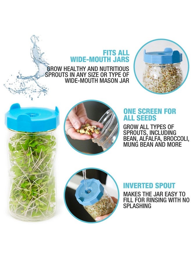 Masontops Bean Screen Plastic Mason Jar Sprouting Lids Mason Jar Sprouting Kit - For Growing Broccoli Seeds, Alfalfa, Mung Bean Sprouts - Wide Mouth Seed Sprouting Jar Lids Sprouting Kit Mason Jar - Image 3