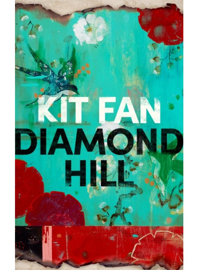 Diamond Hill : Totally unputdownable and evocative literary fiction 