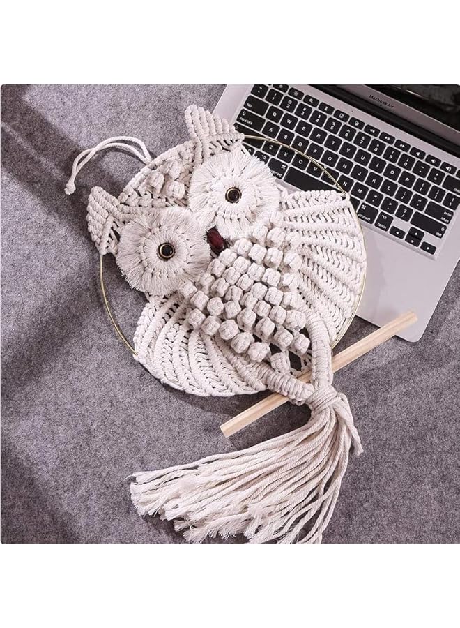 The Bros 2 Pcs Owl Macrame Wall Hanging Tapestry Art Decor Handmade Woven Boho Ornament Wall Hanger for Office Bedroom Apartment Living Room Nursery Gallery - Image 4