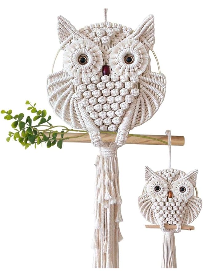 The Bros 2 Pcs Owl Macrame Wall Hanging Tapestry Art Decor Handmade Woven Boho Ornament Wall Hanger for Office Bedroom Apartment Living Room Nursery Gallery - Image 1