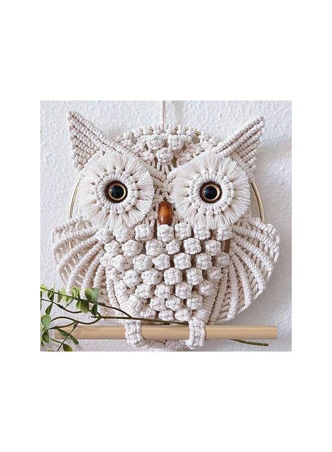 The Bros 2 Pcs Owl Macrame Wall Hanging Tapestry Art Decor Handmade Woven Boho Ornament Wall Hanger for Office Bedroom Apartment Living Room Nursery Gallery - Image 2