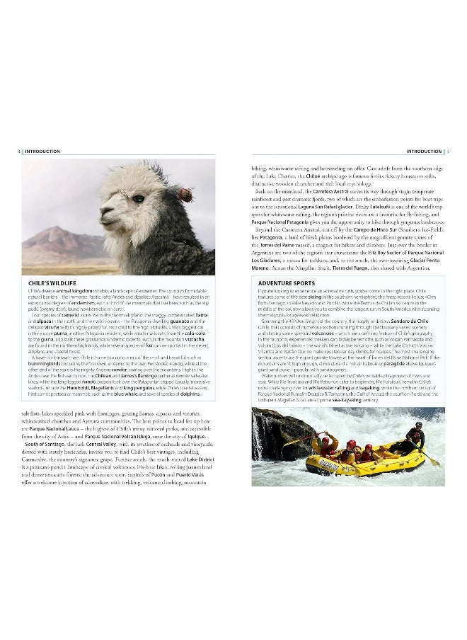 The Rough Guide to Chile & Easter Island (Travel G  - Image 3