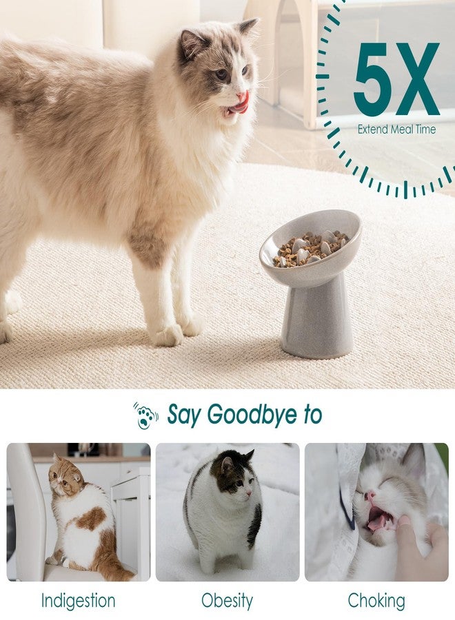 vancasso Ceramic Slow Feeder Cat Bowl, 6.25 Inch Elevated Cat Slow Feeder Bowl, Anti Vomiting for Dry and Wet Food, Grey - Image 4